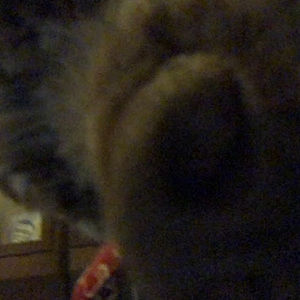 Meet your Posher, That one